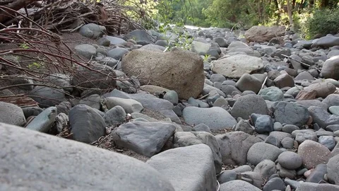 Riverbed - Dolly Shot Vídeo Stock 73234891