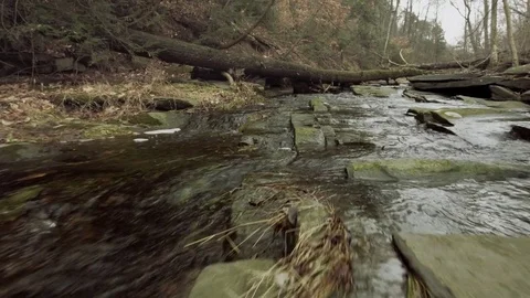 Riverbed drought Stock Footage 71891288