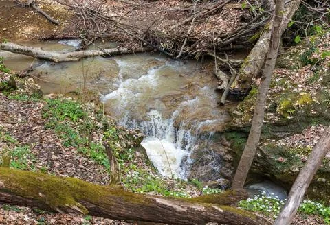 A riverbed with an exposed rocky bottom, a small stream and a current of wate Foto stock