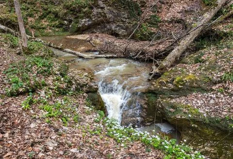 A riverbed with an exposed rocky bottom, a small stream and a current of wate Foto stock