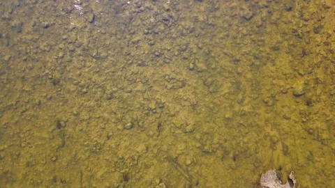 Riverbed Stock Footage 139786099