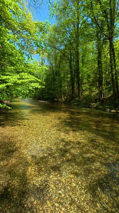 Riverbed glints beneath clear. Gradac River, Serbia. Vertical Видео 334680061