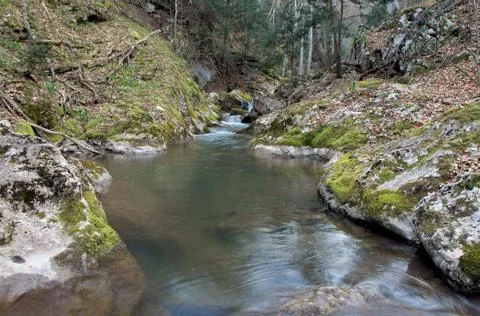Riverbed of mountain river 스톡 사진