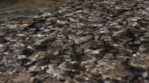 Riverbed in the mountains detail Stock Footage 40022301