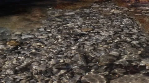 Riverbed in the mountains detail Stock Footage 40022504