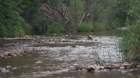 Riverbed in payson, az 02 Stock Footage 43386580