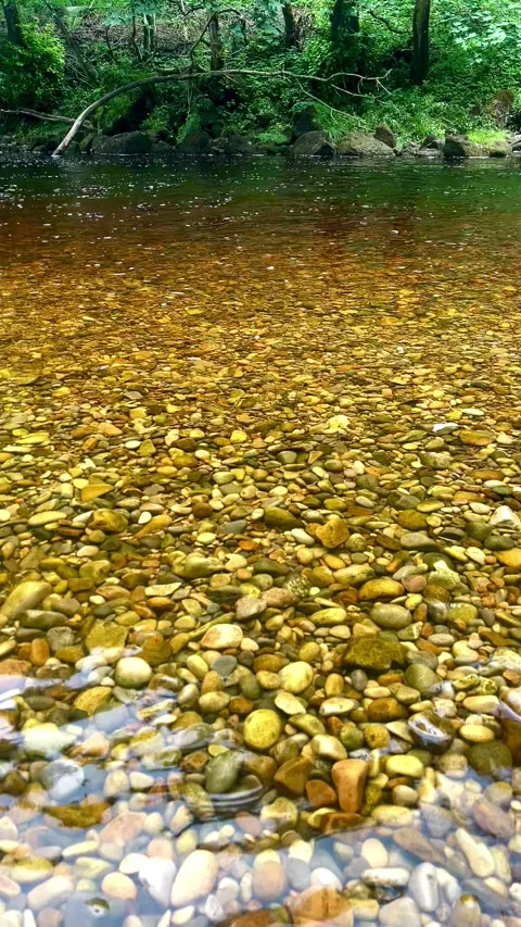 Riverbed Pebbles Stock Footage 313289201