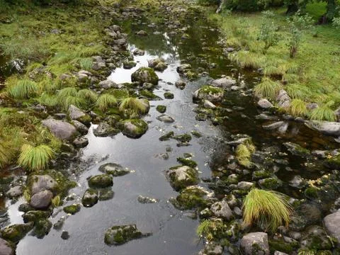 Riverbed Stock Photos