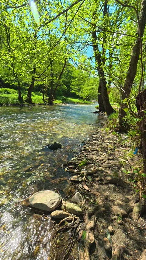 Riverbed reveals smooth stones. Vertical POV, Balkan, Eastern Europe Stockbeeldmateriaal 334679939