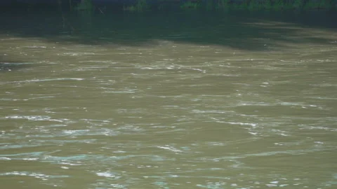 Riverbed of river Mura Stock Footage 145683224