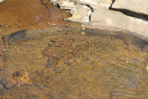 Riverbed rocks Foto stock