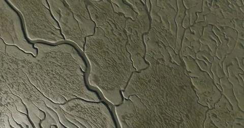 Riverbed of the Sado during low tide Stock Footage 253412256