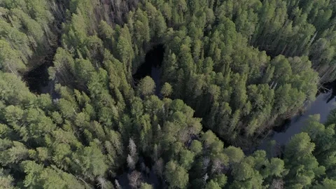 Riverbed in siberian forest Stock-Footage 281075346