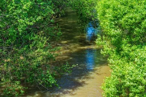 Riverbed of a small river. Stock Photos
