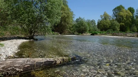 Riverbed at spring Video stock 74208981