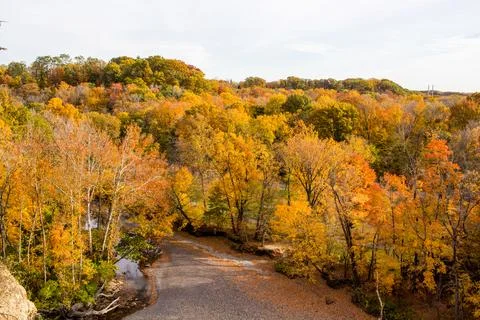 Riverbed View of Forest Stock Photos