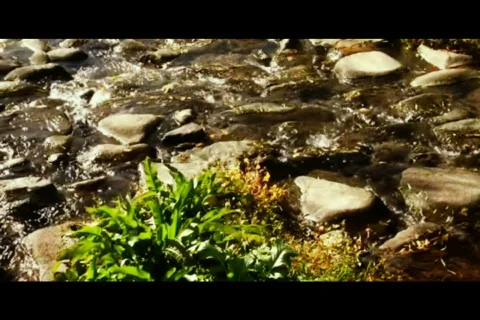 Riverbed water flowing Stock Footage 562525
