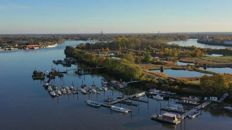 Riverbus Video stock 133631014