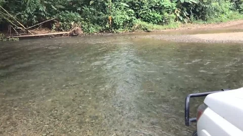 RiverCrossing120fps Stock Footage 110603840