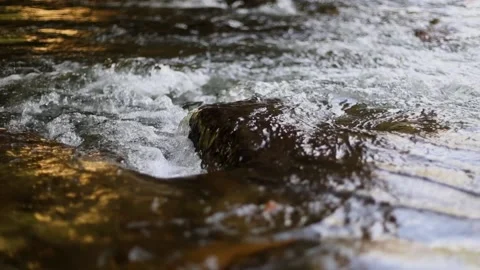 RiverFall 動画素材 231425280