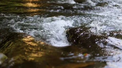 RiverFall2 動画素材 231425276