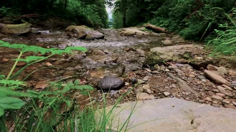 Riverflow 18 Stock Footage 283935619