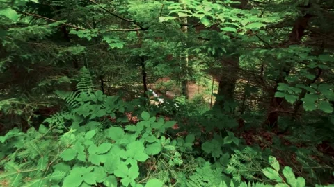 Riverflow 7 Stock Footage 283935518