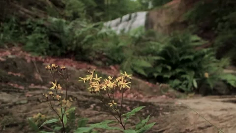 Riverflow8 Stock Footage 283935519