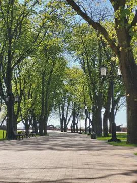Riverfront park path with spring trees Stock Photos