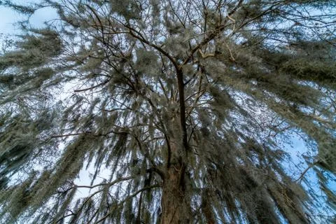 Riverhills Park Stock Photos