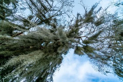 Riverhills Park Stock Photos