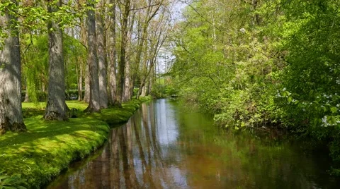 Riverin the spring Stock Footage 63768101
