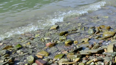 Riverline and small waves Stock-Footage 78563964