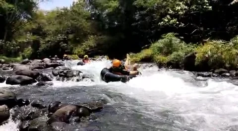 Rivermoon the one one team Stock-Footage 213879876