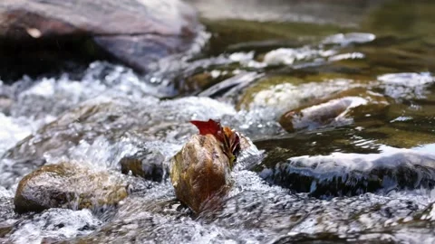 RiverRock 動画素材 231425283