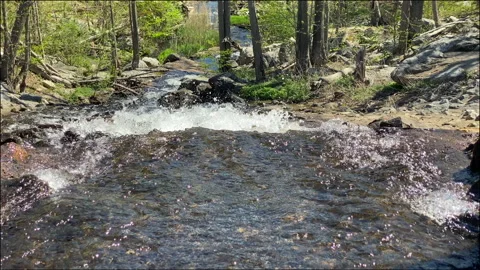 RiverRun | Downstream View Open | Static Stock Footage 194460703
