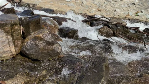 RiverRun | Downstream View | Static | Option 1 Stock Footage 194461742