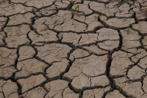 Rivers are drying up due to climate change. 스톡 사진