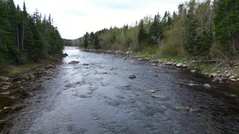 River's Bend Amidst Dense Woods Stock Footage 253472990