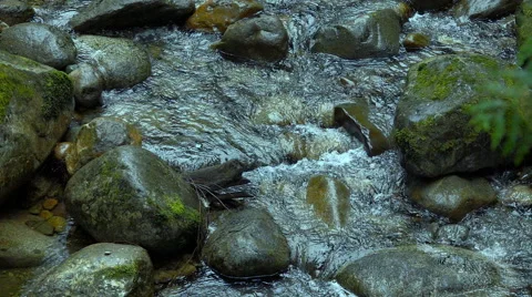 Rivers in Canada Super Slow Motion Stock Footage 68025717