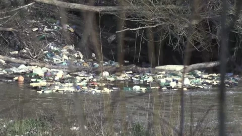 River's Cry: Plastic Bottles Adrift Stockbeeldmateriaal 268430169