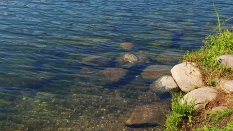 River's Crystal Clear Water Stock Footage 161890212