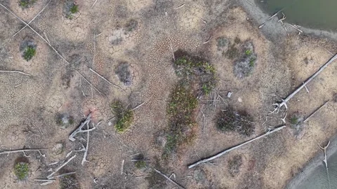 Rivers drying up due to climate change and global warming, with cracked dry.. Stock Footage 345381744