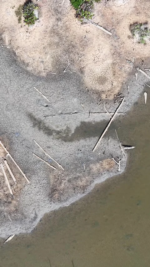 Rivers drying up due to climate change and global warming, with cracked dry.. Stock Footage 345381948