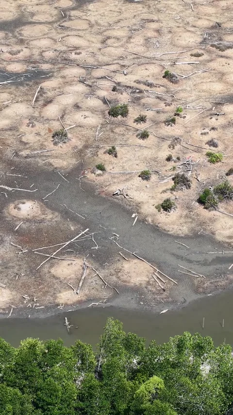 Rivers drying up due to climate change and global warming, with cracked dry.. Видео 345381957