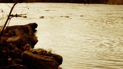 Rivers Edge Dusk Stock Footage 1105523