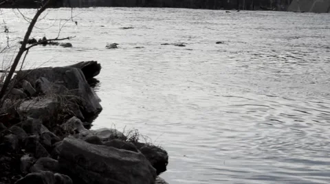 Rivers Edge Stock Footage 1105384