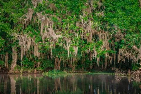 The Rivers Edge Stock Photos