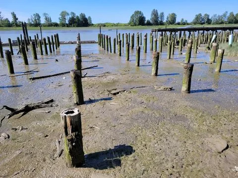 Rivers edge Stock Photos
