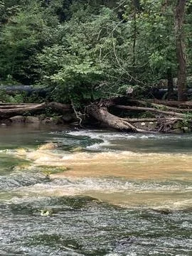 River's Edge Stock Photos